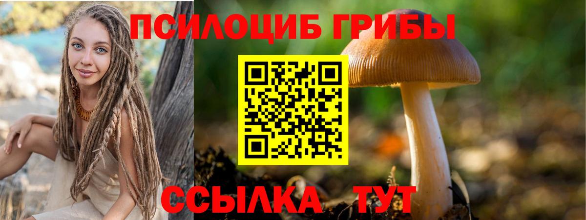 Галлюциногенные грибы Magic Shrooms  Вход с VPN  Губаха 